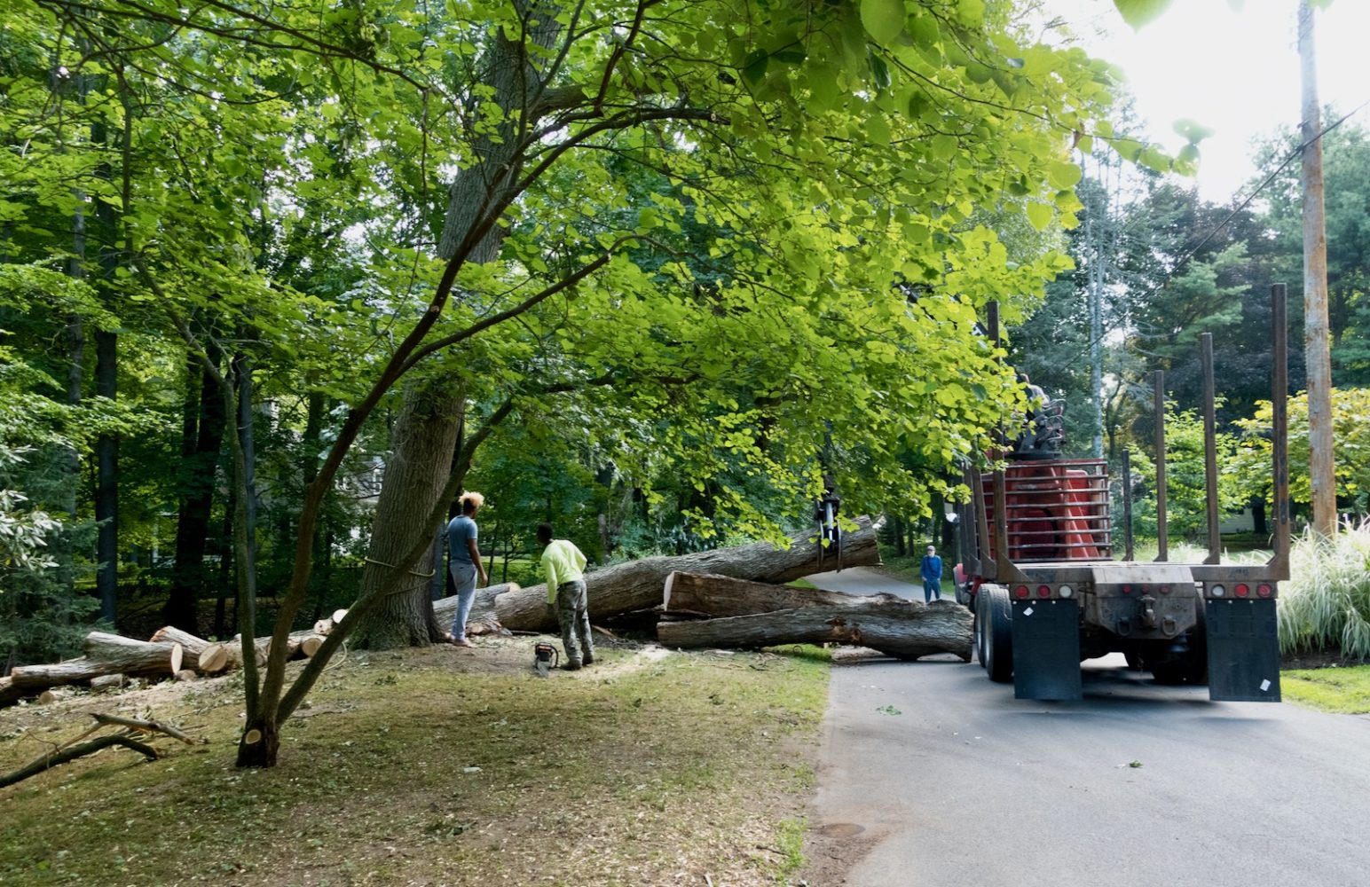 Charles and helper from Woodchuck Tree Service at Jeddy's house. Jerod is show watching.