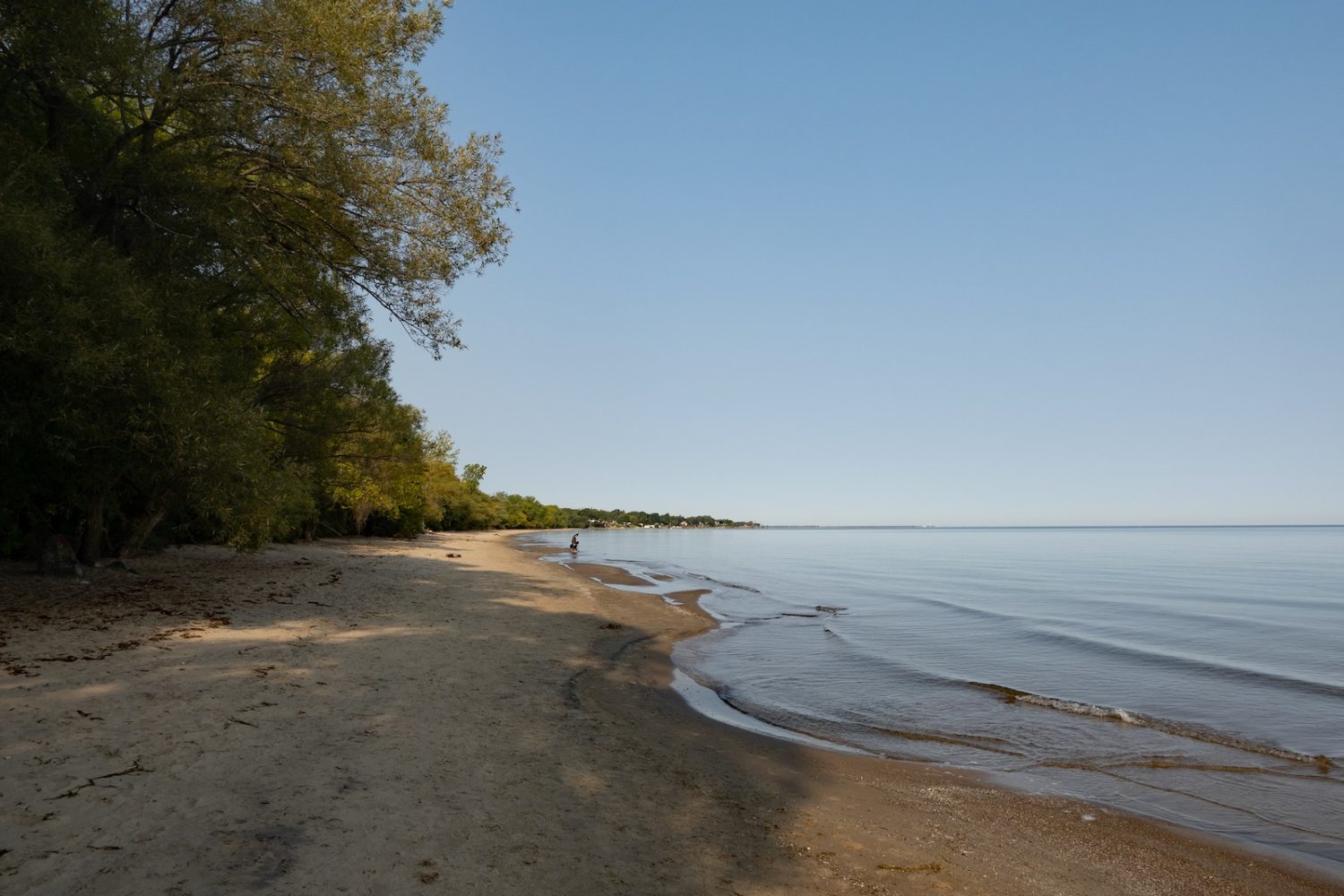 Beach combing at Durand Eastman Beach