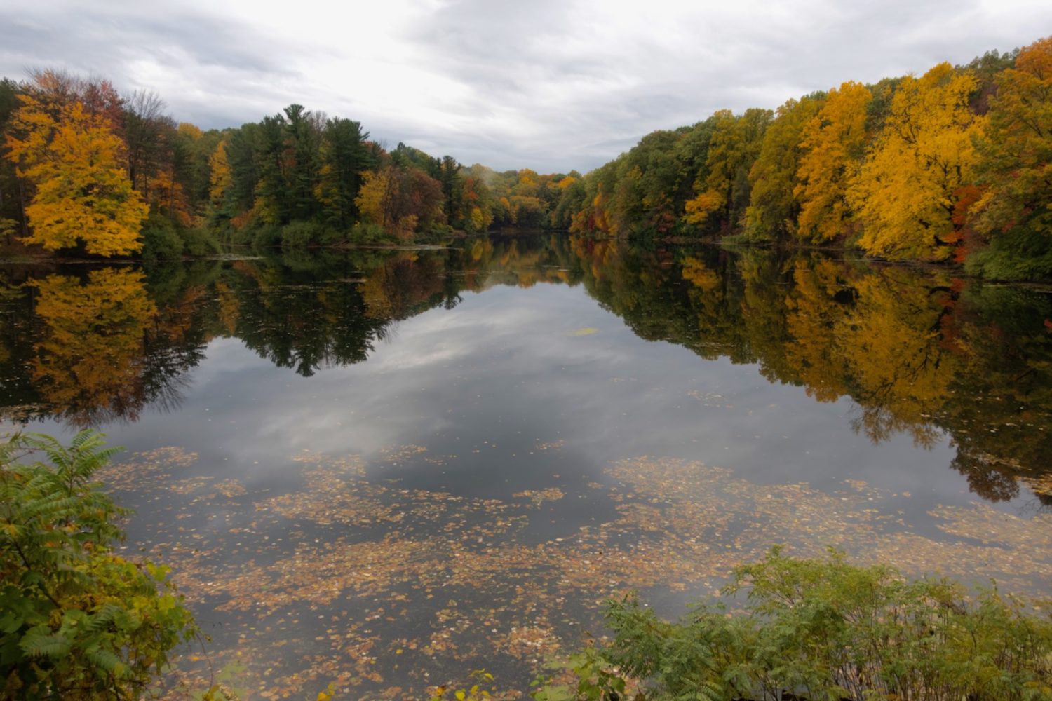 Mirror image of trees along Durand Lake in October