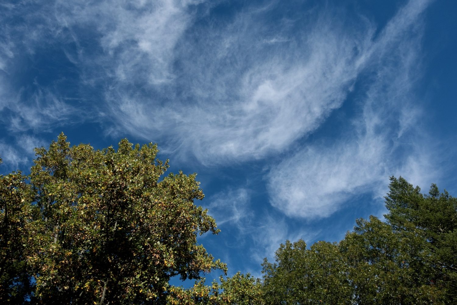 Sky above the pool on October 11, 2020