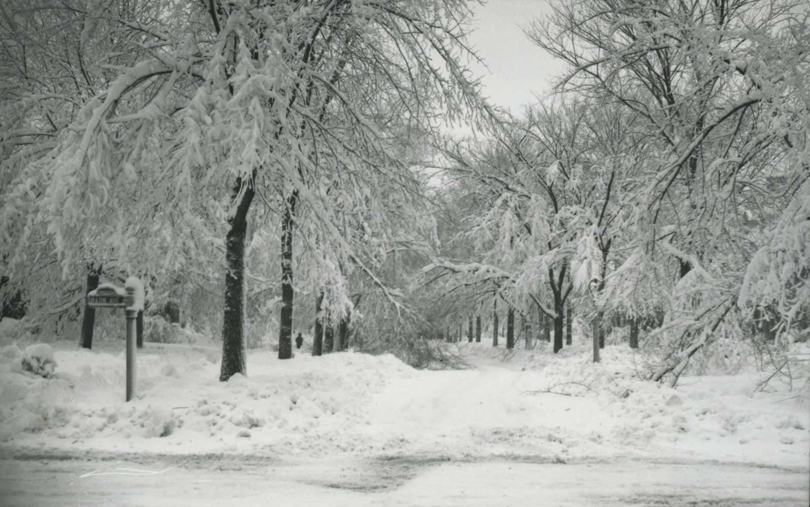Park Avenue after snow storm in 1945 – photo from City of Rochester