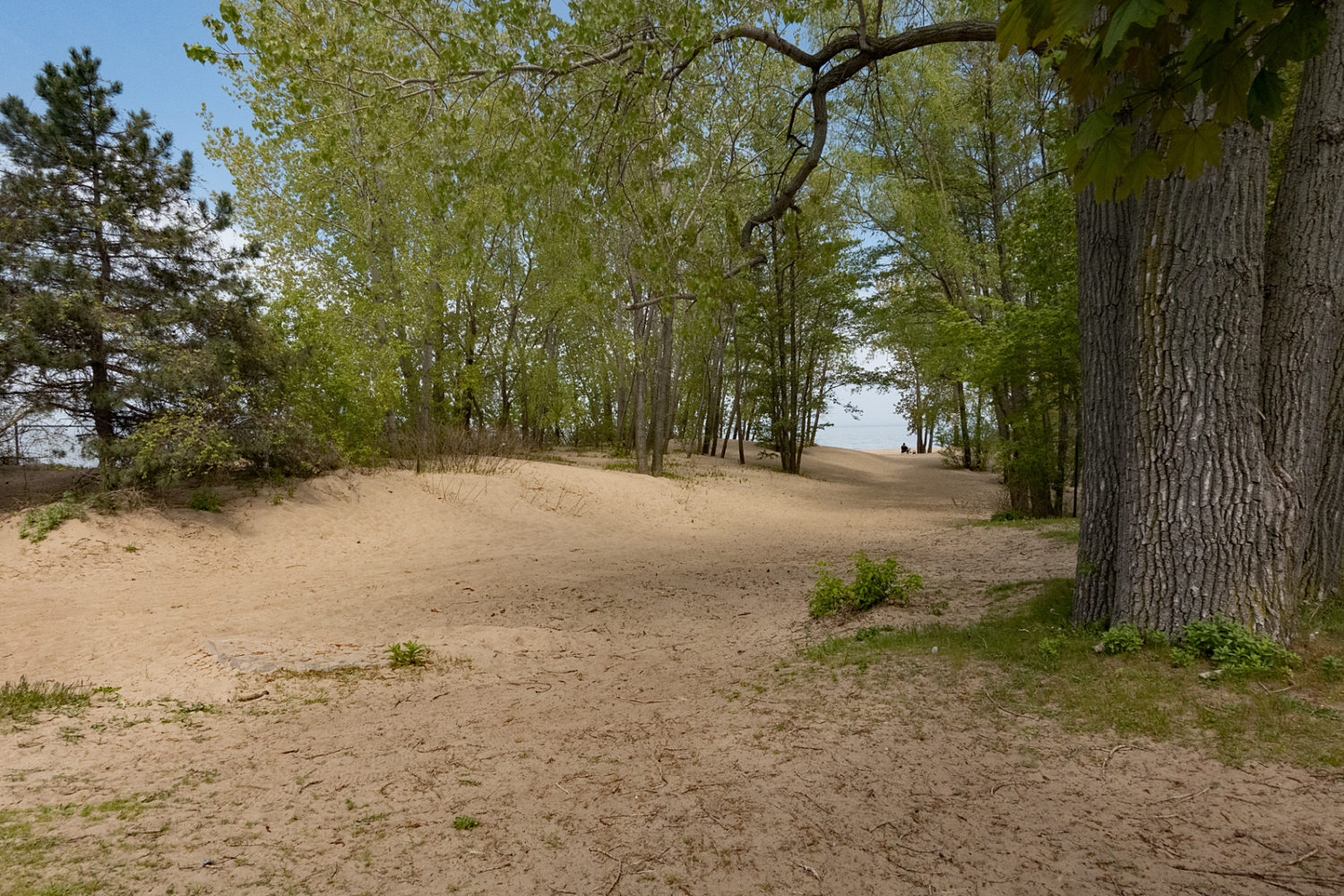 Beach at Sea Breeze, New York