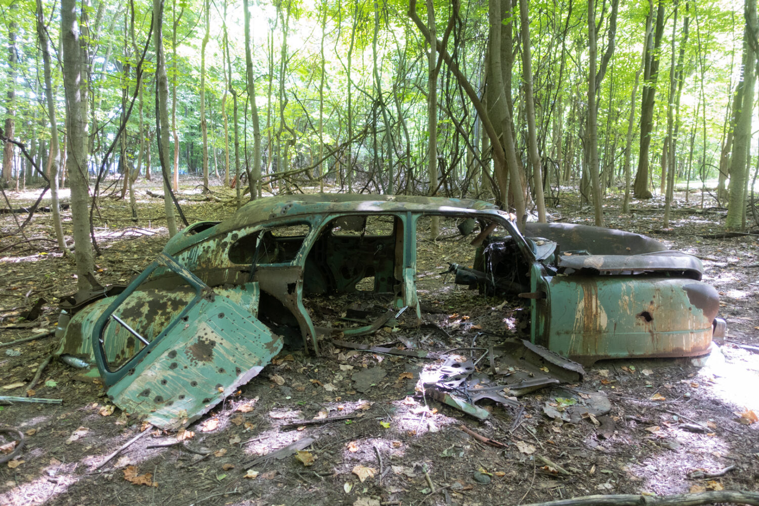 Abandoned car in Four Mile Creek Preserve, Webster