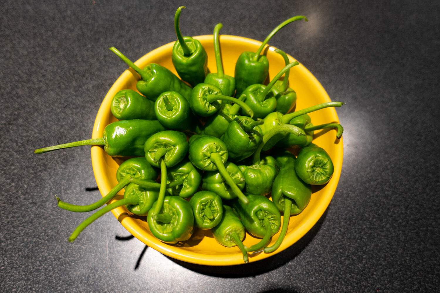 Pimientos de Padron from our garden