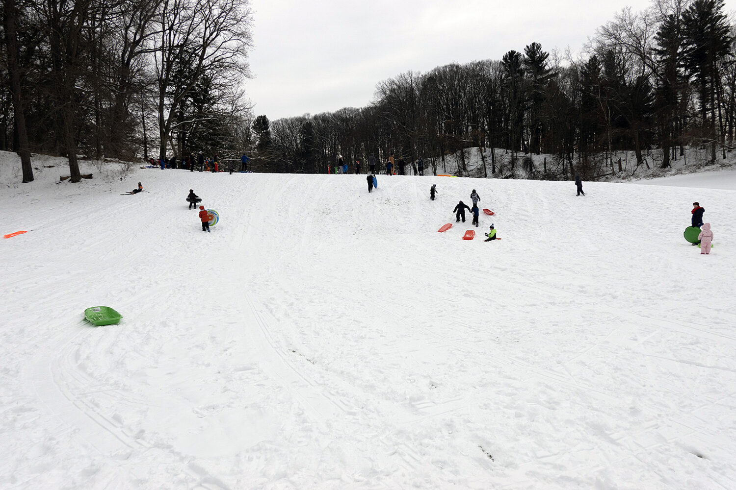 Kids sledding at Durand Eastman 2025