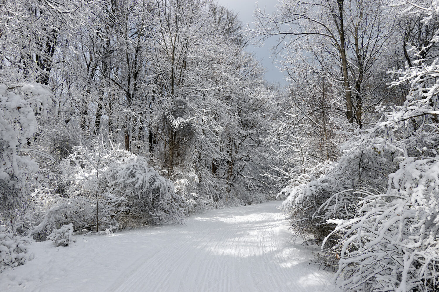 Horseshoe Road near Lake Ontario 