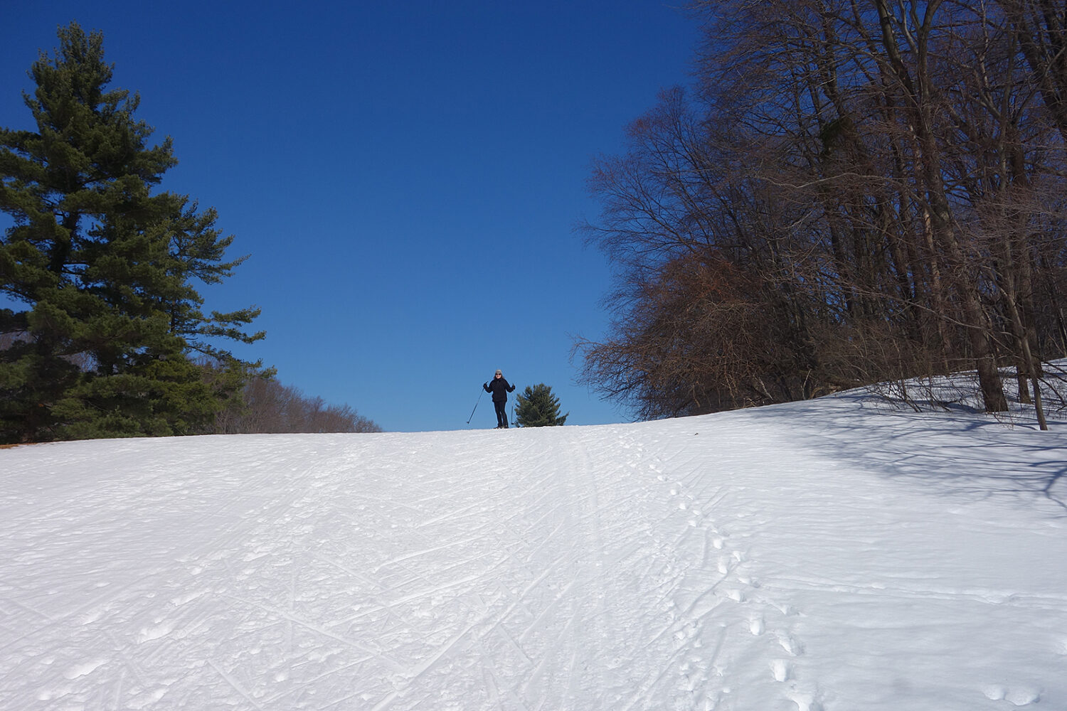 Peggi skiing in Durand Eastman Park